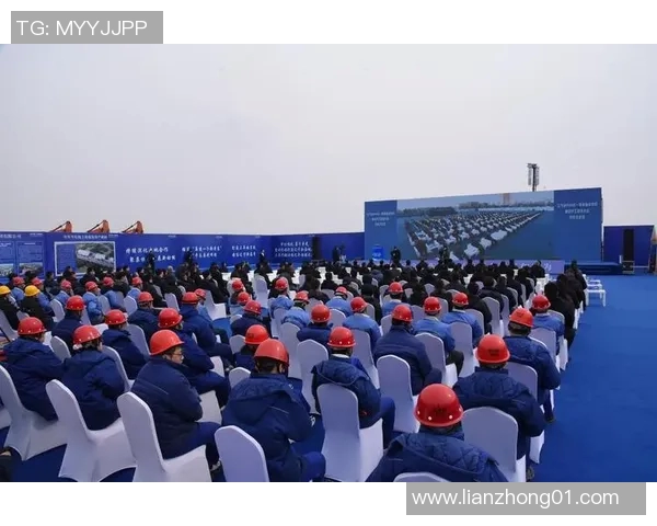 向余望成功突破率提升至55助力项目发展新机遇与挑战 向余望成功突破率提升至55助力项目发展新机遇与挑战